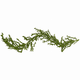 Boxwood Garland