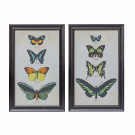 Framed Butterfly Print (Set of 2) 11.25"L x 18.25"H Wood/Glass