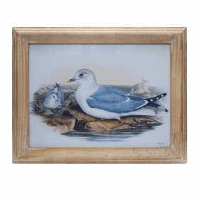 Framed Bird Print 16.5"L x 13"H Wood/Glass