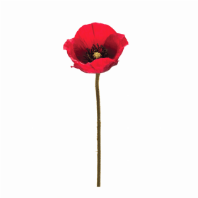 Poppy Spray (Set of 6) 26.5"H Polyester