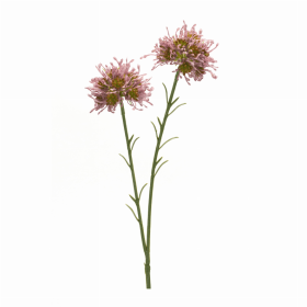 Allium Spray (Set of 6) 18.5"H Plastic