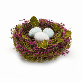 Nest with Eggs (Set of 4) 6.5"D x 2.75"H Natural/Foam