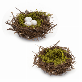 Nest and Nest with Eggs (Set of 6) 6.5"D x 3"H Natural/Foam