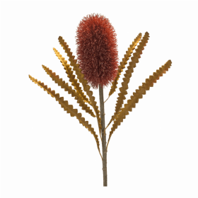 Banksia Stem (Set of 6) 24"H Plastic