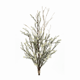 Leptospermum Swag (Set of 6) 22"L Plastic