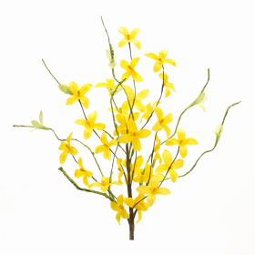 Forsythia Pick (Set of 6) 19"H Polyester