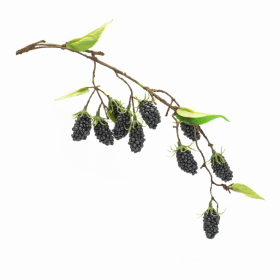 Raspberry Vine (Set of 6) 24.5"L Plastic/Polyester