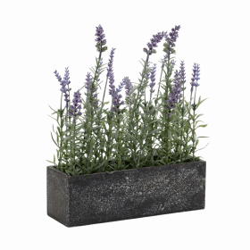 Potted Lavender (Set of 2) 11.5"L x 14.75"H Plastic