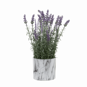 Potted Lavender (Set of 2) 5.75"D x 17.75"H Plastic