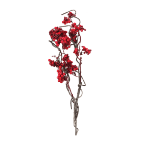 Berry Twig Branch