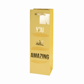 You Are Amazing Single-Bottle Wine Bag By Cakewalk