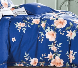 Elizabeth Blue Floral 100% Cotton Reversible 3 pcs Duvet Cover Set Queen/Full