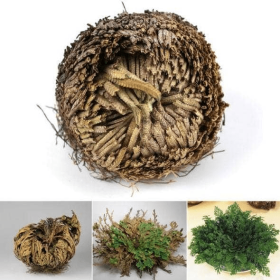 Rose Of Jericho, Resurrection, Magical Plant