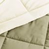 Full/Queen 3-Piece Microfiber Reversible Comforter Set in Sage Green/Cream